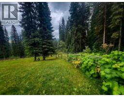 4165 43 Highway, Elkford, BC V0B1H0 Photo 42