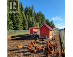 4165 43 Highway, Elkford, BC V0B1H0 Photo 54