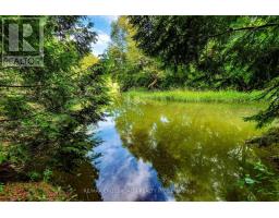 127 Taylorwood Court, Oshawa, ON L1G7V7 Photo 50