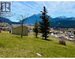 3pc Bathroom - 8142 26 Avenue, Coleman, AB T0K0M0 Photo 7