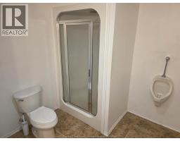 219 Inshes, Chatham, ON N7M2Z5 Photo 38