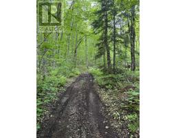 Lot (pid 20098885) Truro Road, New Annan, NS B0K1V0 Photo 6