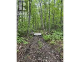 Lot (pid 20098885) Truro Road, New Annan, NS B0K1V0 Photo 7