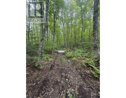 Lot (pid 20098885) Truro Road, New Annan, NS B0K1V0 Photo 8