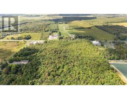 Pt Lt 30 Con 3, Limoges Rd Road, The Nation, ON K0A2M0 Photo 15