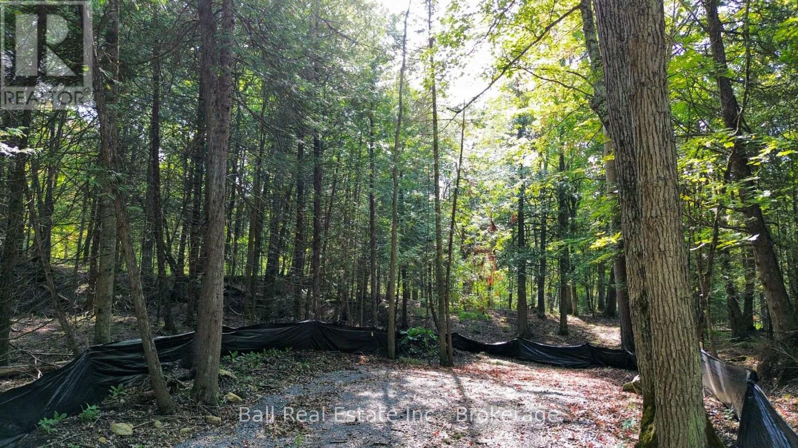 85 FR 19 ROUTE, Havelock-Belmont-Methuen (Belmont-Methuen) — photo 7