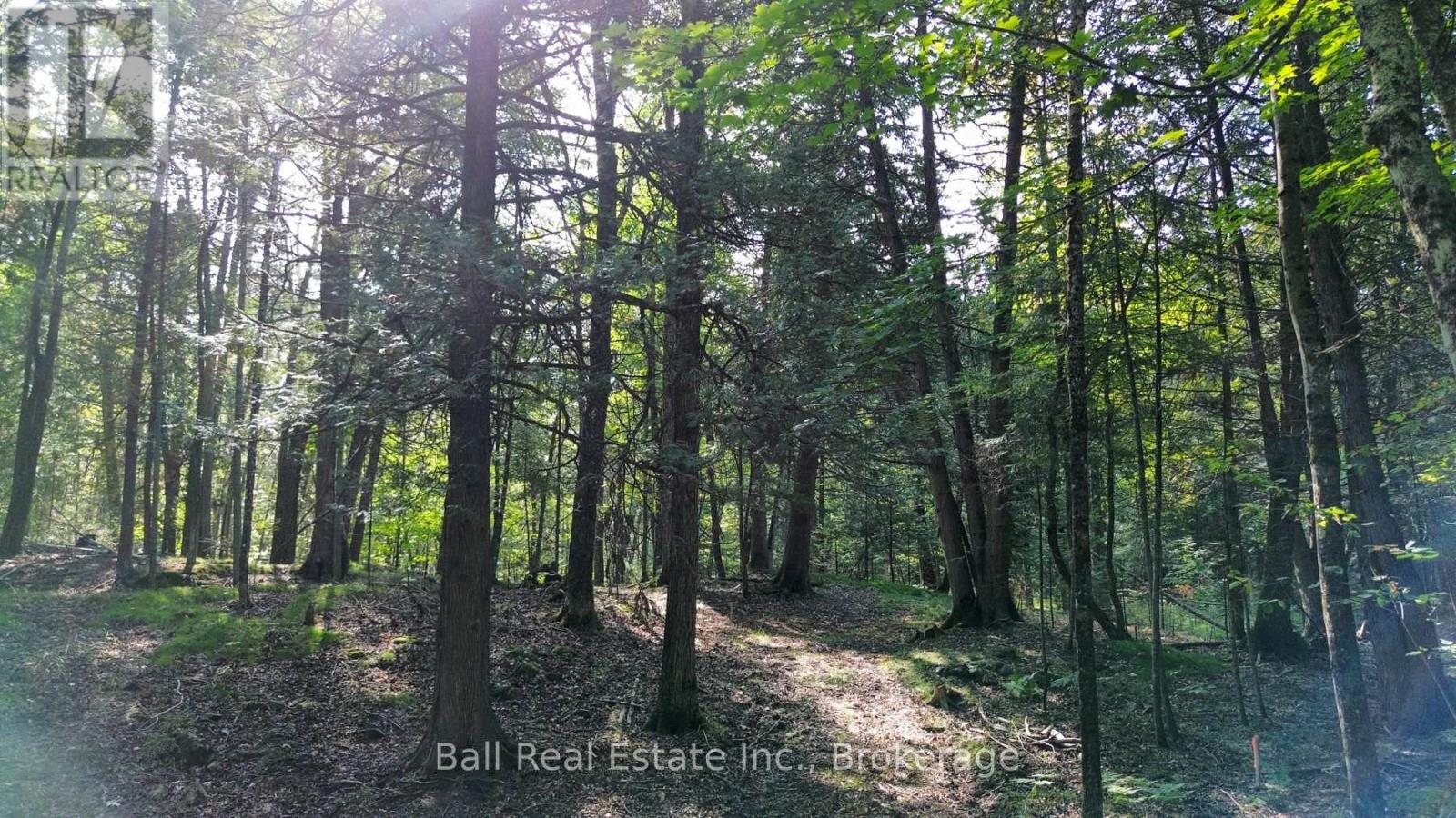 85 FR 19 ROUTE, Havelock-Belmont-Methuen (Belmont-Methuen) — photo 8