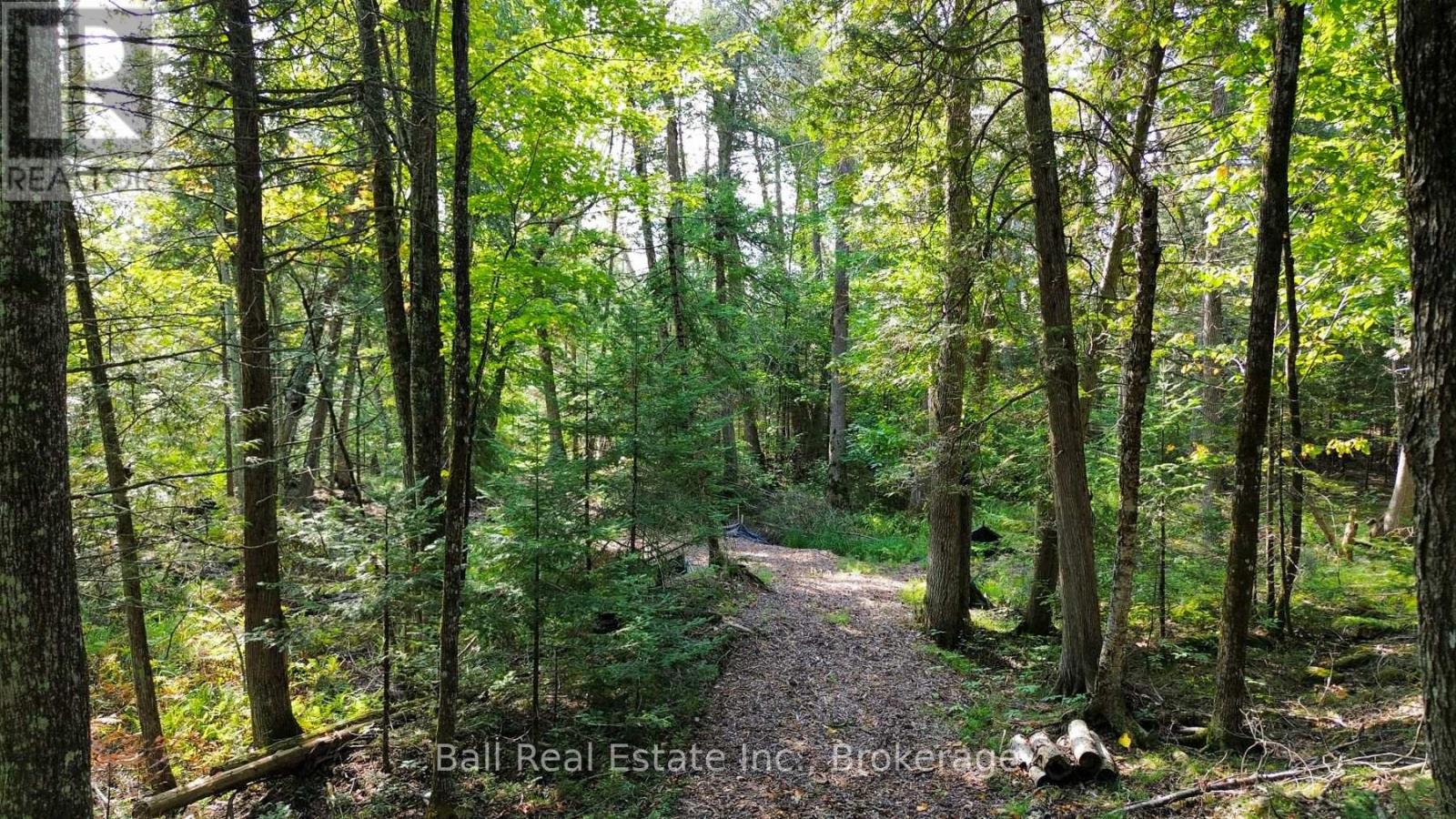 85 FR 19 ROUTE, Havelock-Belmont-Methuen (Belmont-Methuen) — photo 9