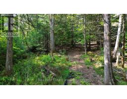 85 Fr 19c Route, Havelock Belmont Methuen, ON K0L1Z0 Photo 10