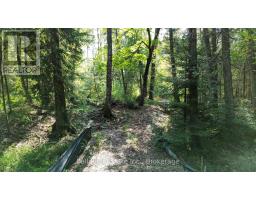 85 Fr 19c Route, Havelock Belmont Methuen, ON K0L1Z0 Photo 11