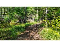 85 Fr 19c Route, Havelock Belmont Methuen, ON K0L1Z0 Photo 12
