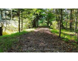 85 Fr 19c Route, Havelock Belmont Methuen, ON K0L1Z0 Photo 13