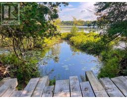 85 Fr 19c Route, Havelock Belmont Methuen, ON K0L1Z0 Photo 14