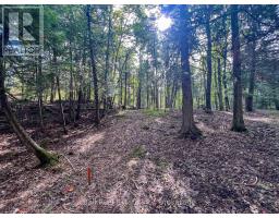 85 Fr 19c Route, Havelock Belmont Methuen, ON K0L1Z0 Photo 19