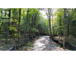 85 Fr 19c Route, Havelock Belmont Methuen, ON K0L1Z0 Photo 6
