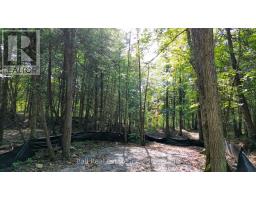 85 Fr 19c Route, Havelock Belmont Methuen, ON K0L1Z0 Photo 7