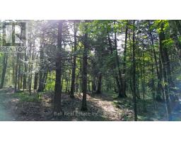 85 Fr 19c Route, Havelock Belmont Methuen, ON K0L1Z0 Photo 8