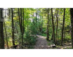 85 Fr 19c Route, Havelock Belmont Methuen, ON K0L1Z0 Photo 9