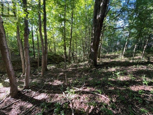 PT LT 8 7TH LINE, Meaford — photo 5