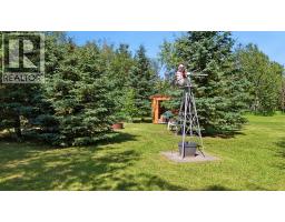 253037 Township Road 432, Ponoka, AB T4J1R2 Photo 36