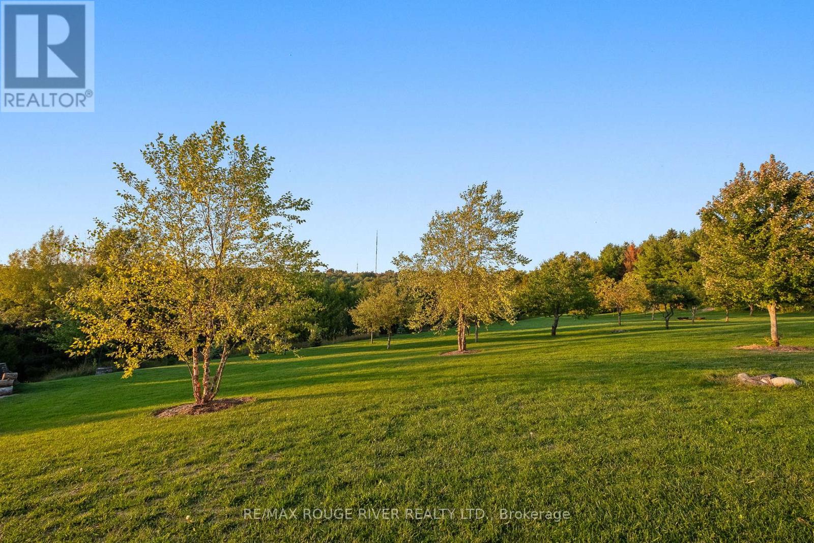 3622 ALNWICK HILLS ROAD, Hamilton Township — photo 8
