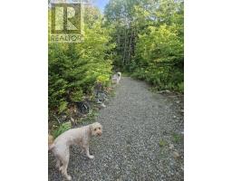 54 Scott's Drive, Summerville, NS B5A5J5 Photo 37