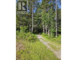 54 Scott's Drive, Summerville, NS B5A5J5 Photo 40
