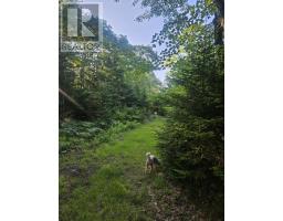 54 Scott's Drive, Summerville, NS B5A5J5 Photo 43