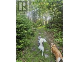 54 Scott's Drive, Summerville, NS B5A5J5 Photo 48