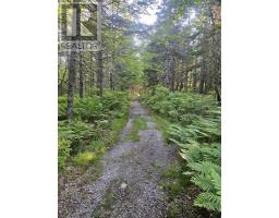 54 Scott's Drive, Summerville, NS B5A5J5 Photo 47