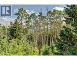 16 Highlands Place, Bragg Creek, AB T0L0K0 Photo 43