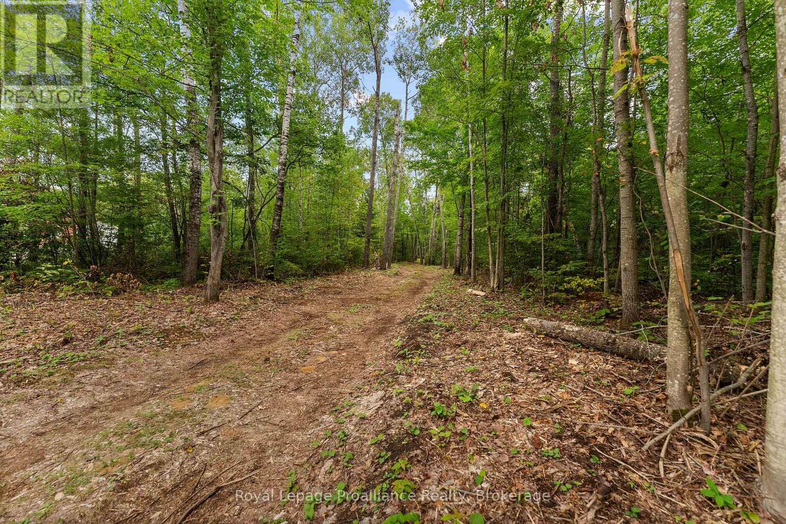596 RIVER ROAD - Image 31