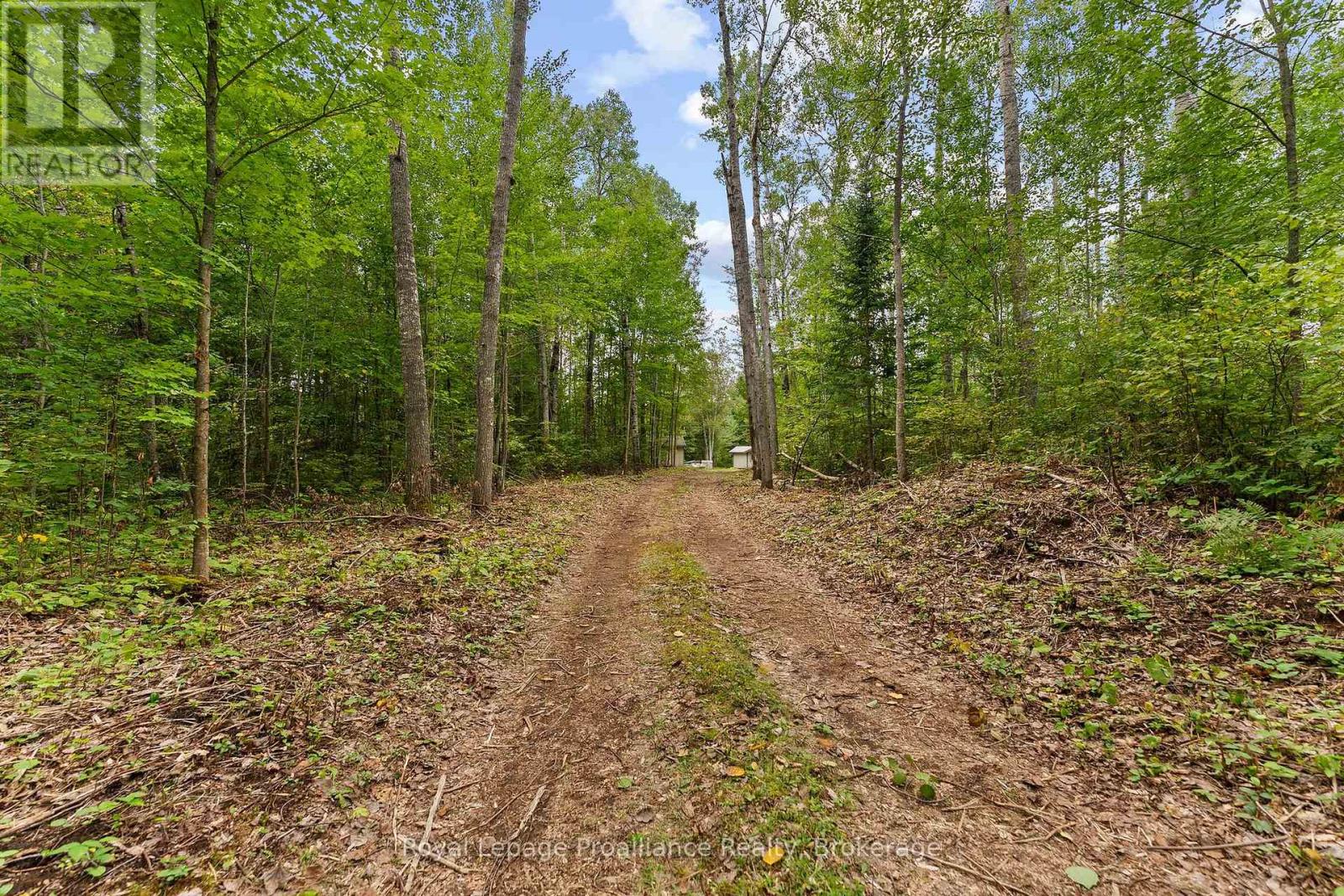 596 RIVER ROAD - 32