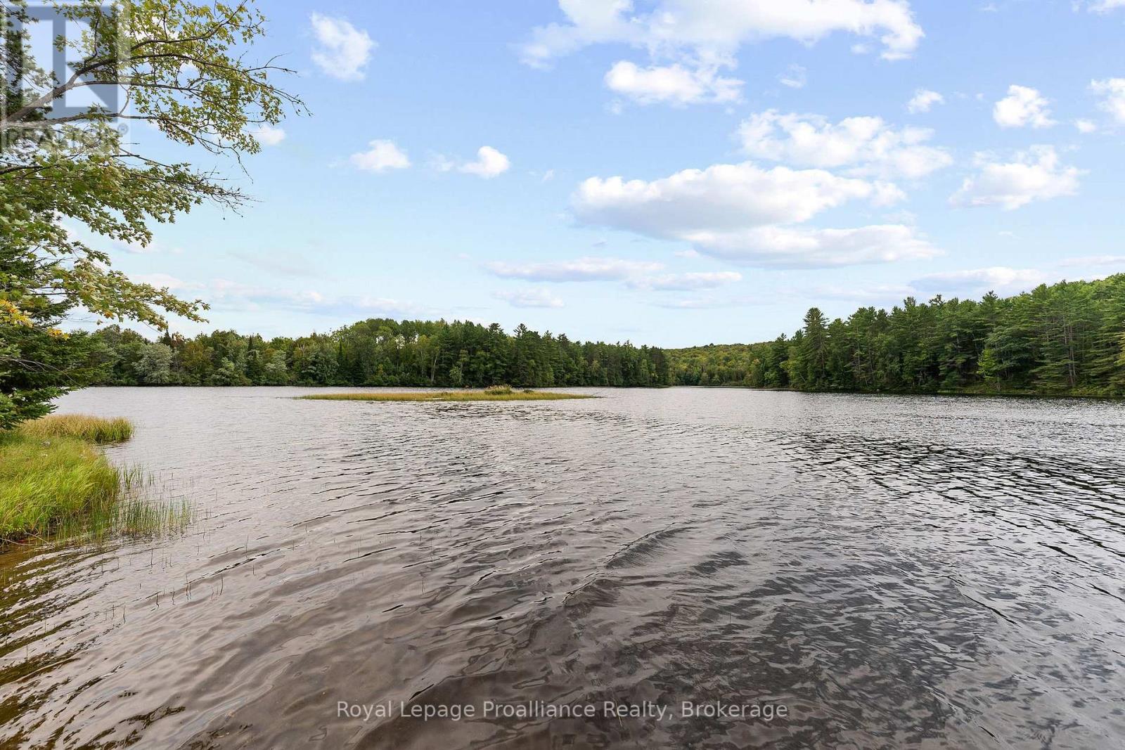 596 RIVER ROAD - 35