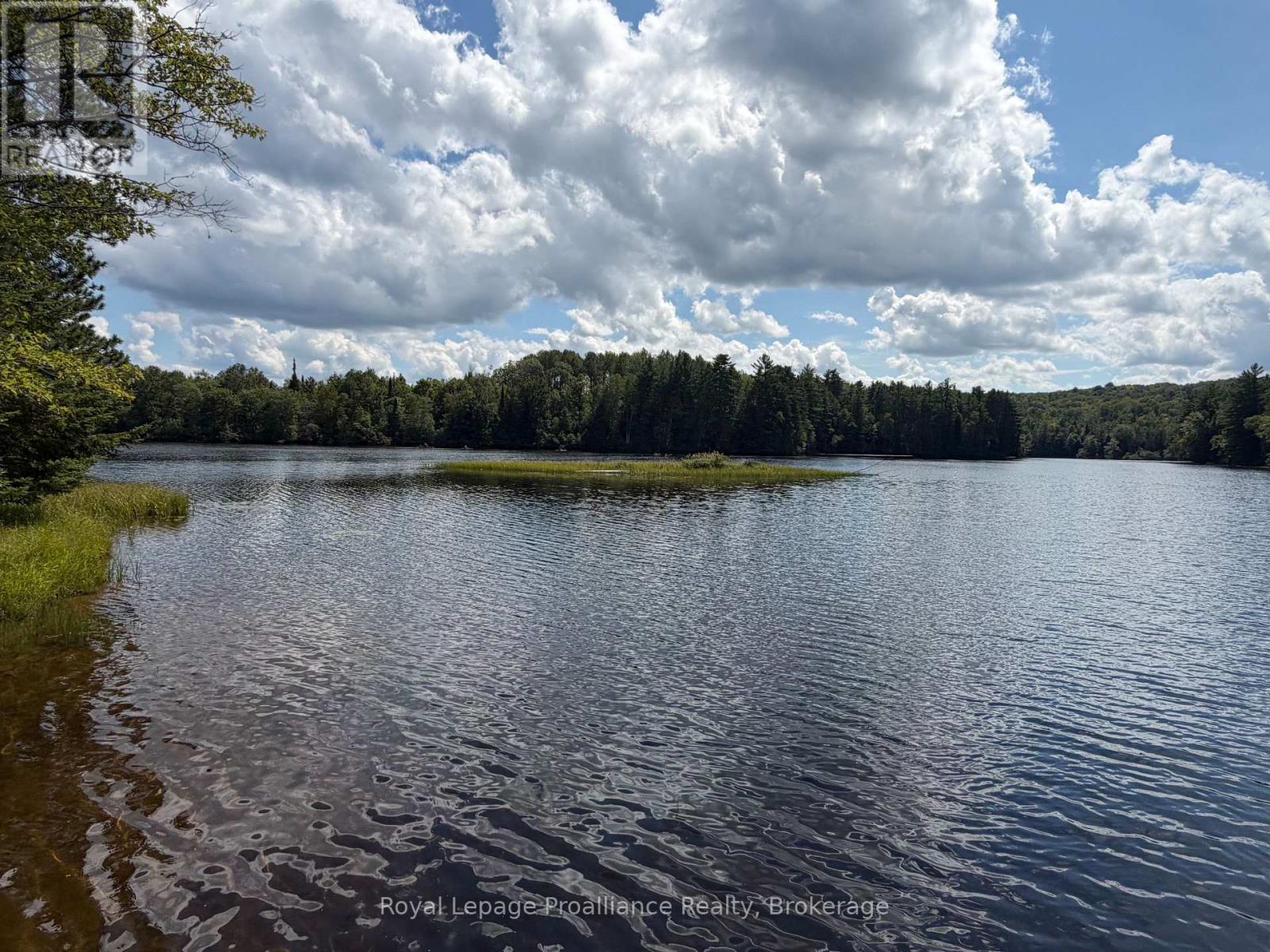 596 RIVER ROAD - Image 43