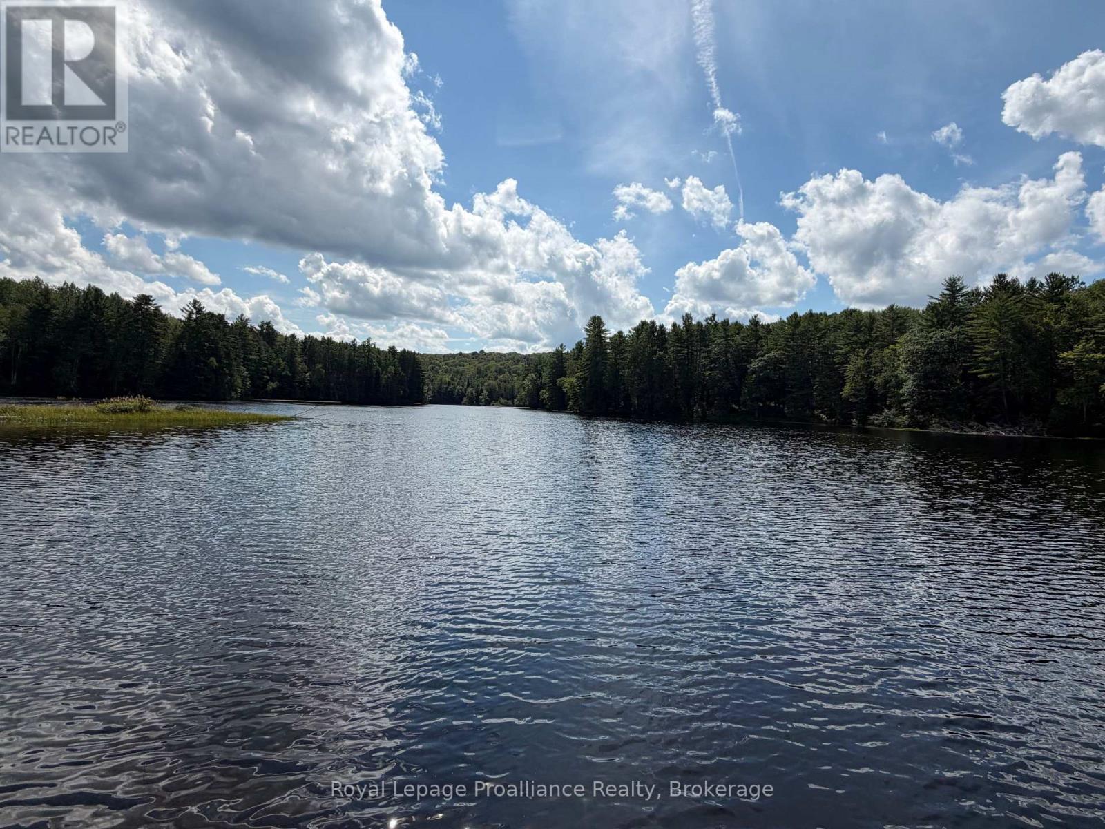 596 RIVER ROAD - Image 44