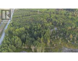 1181 Vimy Ridge Road, Black River Matheson, ON P0K1N0 Photo 10