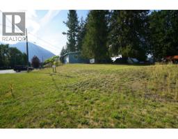 416 Slocan Avenue, New Denver, BC V0G2B0 Photo 30