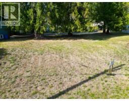 416 Slocan Avenue, New Denver, BC V0G2B0 Photo 6