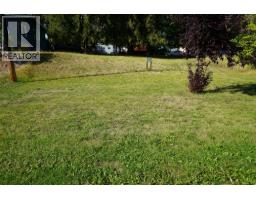416 Slocan Avenue, New Denver, BC V0G2B0 Photo 9