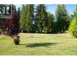 416 Slocan Avenue, New Denver, BC V0G2B0 Photo 12