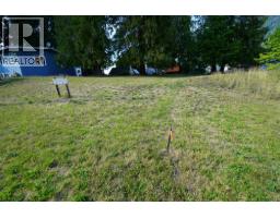 416 Slocan Avenue, New Denver, BC V0G2B0 Photo 29