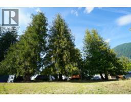 416 Slocan Avenue, New Denver, BC V0G2B0 Photo 17