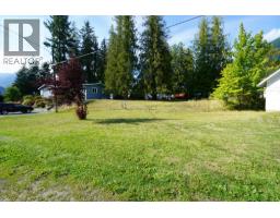416 Slocan Avenue, New Denver, BC V0G2B0 Photo 27