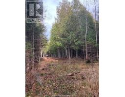 20751 Highway 6, Tehkummah, ON P0P1Z0 Photo 10