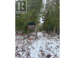 20751 Highway 6, Tehkummah, ON P0P1Z0 Photo 11