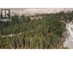 Lot 1 93/95 Highway, Windermere, BC V0B2L0 Photo 6