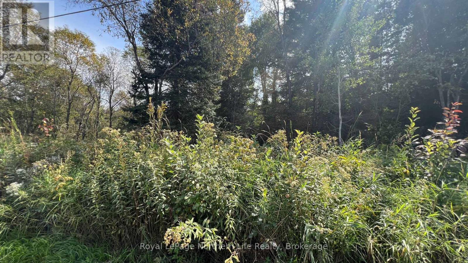 LOT 29 CONCESSION 2, GRAND DESERT ROAD, Bonfield — photo 4
