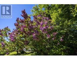 161 Highway 311 Loop, Balfron, NS B0K1V0 Photo 48