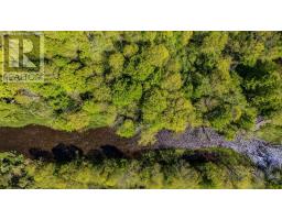 161 Highway 311 Loop, Balfron, NS B0K1V0 Photo 44